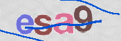 Immagine CAPTCHA